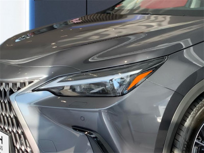 Lexus NX Neuwagen