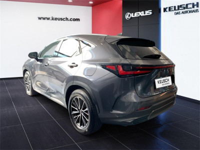 Lexus NX Neuwagen