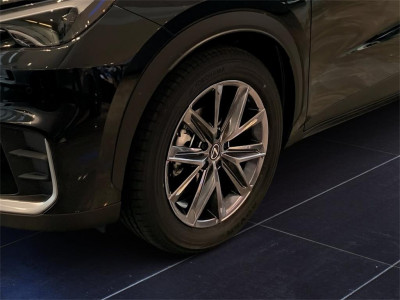 Lexus LBX Neuwagen Lexus LBX Neuwagen