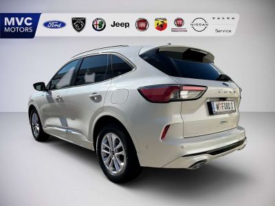 Ford Kuga Vorführwagen