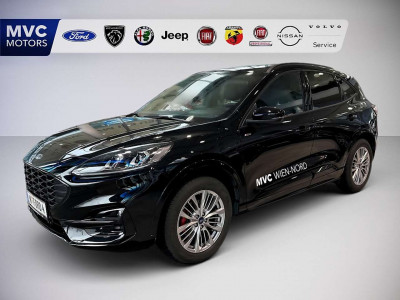 Ford Kuga Vorführwagen