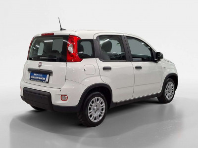 Fiat Panda Vorführwagen