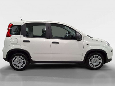 Fiat Panda Vorführwagen