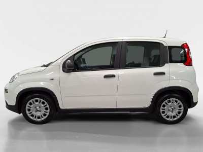 Fiat Panda Vorführwagen