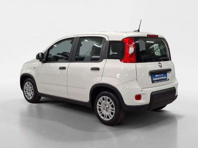 Fiat Panda Vorführwagen