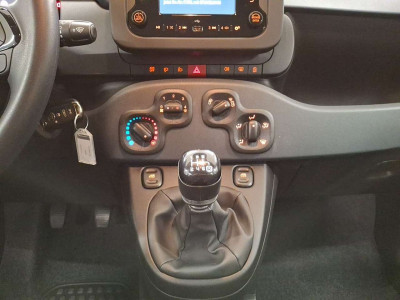 Fiat Panda Vorführwagen