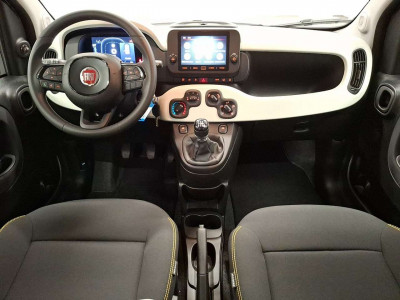 Fiat Panda Neuwagen