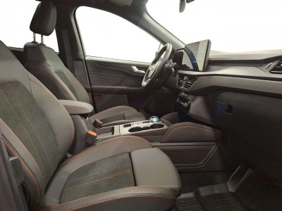 Ford Kuga Vorführwagen