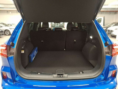 Ford Kuga Vorführwagen