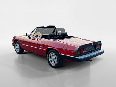 Alfa Romeo Spider Oldtimer