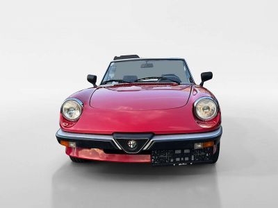 Alfa Romeo Spider Oldtimer