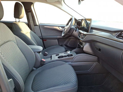 Ford Kuga Vorführwagen