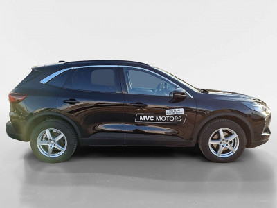 Ford Kuga Vorführwagen
