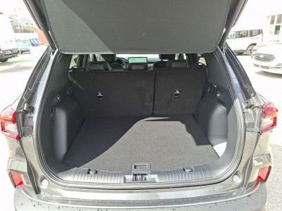 Ford Kuga Vorführwagen