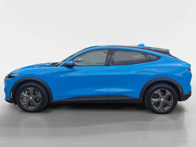 Ford Mustang Mach-E Gebrauchtwagen Ford Mustang Mach-E Gebrauchtwagen