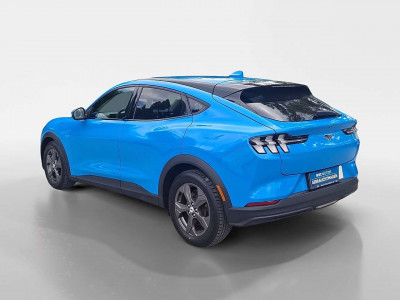 Ford Mustang Mach-E Gebrauchtwagen Ford Mustang Mach-E Gebrauchtwagen