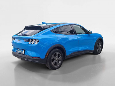 Ford Mustang Mach-E Gebrauchtwagen Ford Mustang Mach-E Gebrauchtwagen