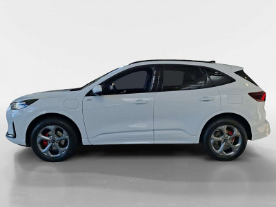 Ford Kuga Vorführwagen Ford Kuga Vorführwagen