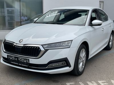 Skoda Octavia Gebrauchtwagen