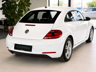 VW Beetle Gebrauchtwagen