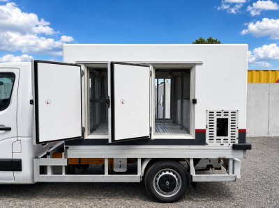Renault Master Gebrauchtwagen