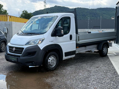 Fiat Ducato Gebrauchtwagen