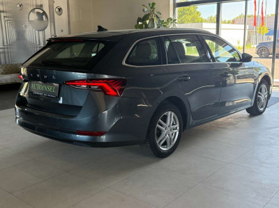 Skoda Octavia Gebrauchtwagen