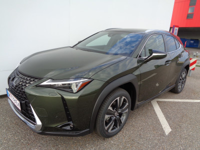 Lexus UX Gebrauchtwagen