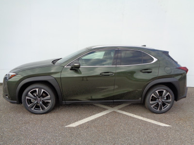 Lexus UX Gebrauchtwagen