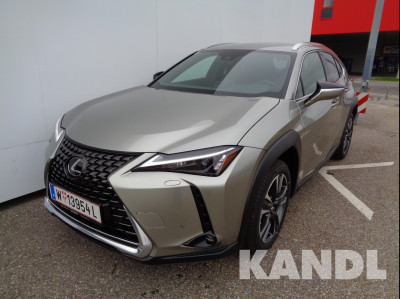 Lexus UX Vorführwagen