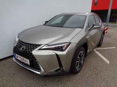 Lexus UX Vorführwagen