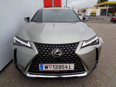 Lexus UX Vorführwagen