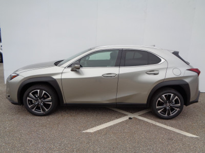 Lexus UX Vorführwagen