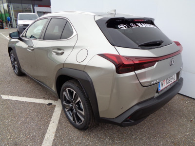 Lexus UX Vorführwagen