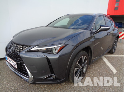 Lexus UX Vorführwagen