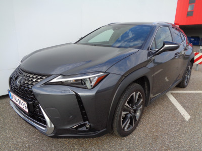 Lexus UX Vorführwagen