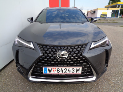 Lexus UX Vorführwagen