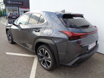 Lexus UX Vorführwagen