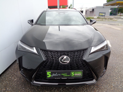 Lexus UX Vorführwagen