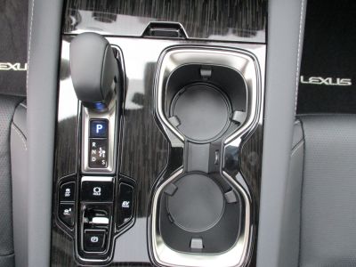 Lexus RX Vorführwagen