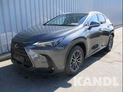 Lexus NX Neuwagen