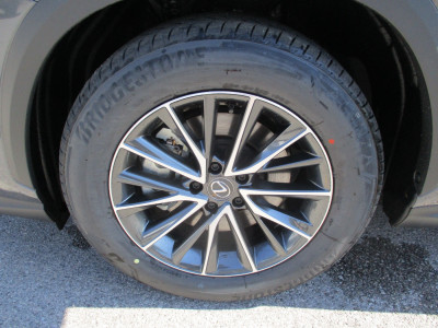 Lexus NX Neuwagen