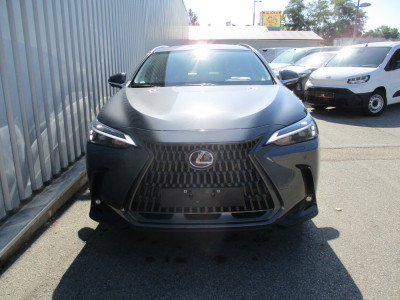 Lexus NX Neuwagen
