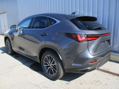 Lexus NX Neuwagen