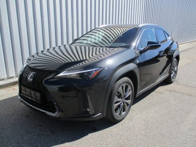 Lexus UX Neuwagen