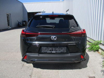 Lexus UX Neuwagen