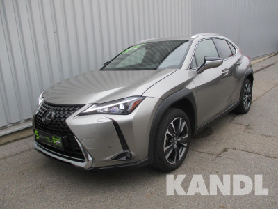 Lexus UX Gebrauchtwagen