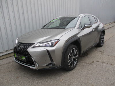 Lexus UX Gebrauchtwagen