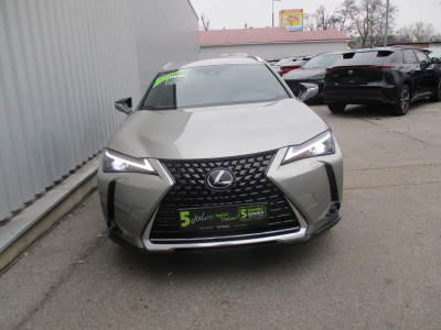 Lexus UX Gebrauchtwagen