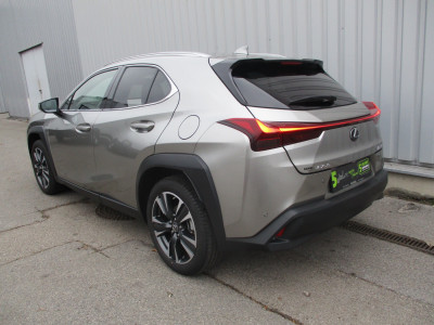 Lexus UX Gebrauchtwagen